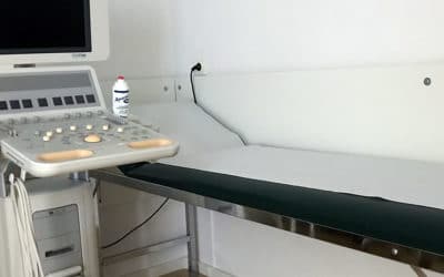 SG #050: Gesundheitssystem