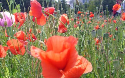 SG #071: Verben mit Präpositionen