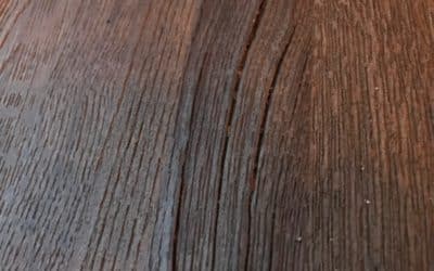 SG #081: Der Dialekt