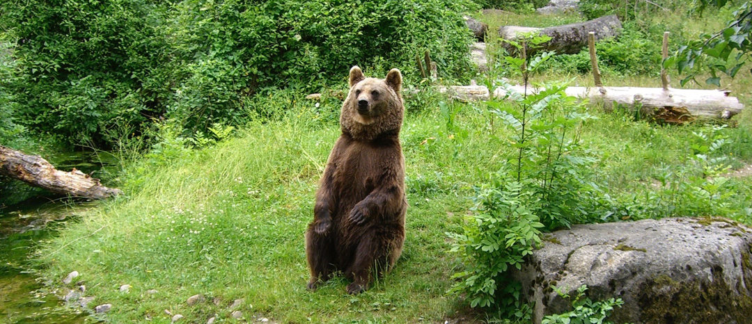 SG #069: Tierpark