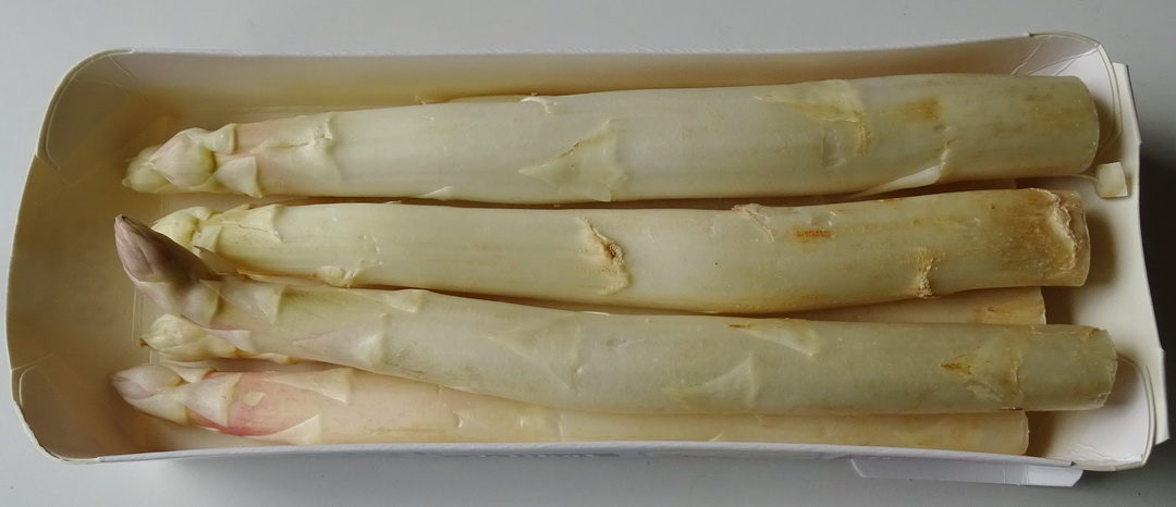 SG #103: Spargel