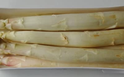 SG #103: Spargel