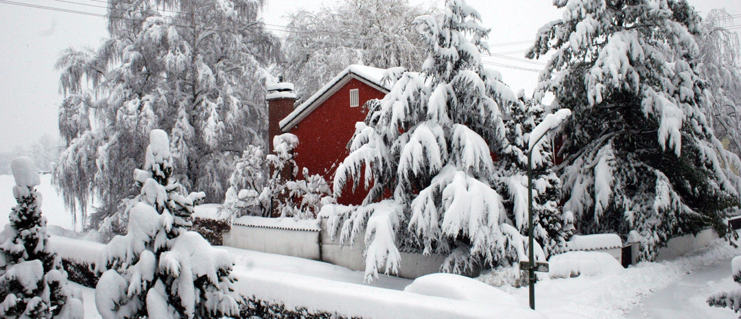 SG #112: Winter