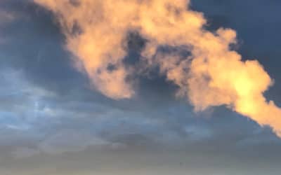 Nachhaltigkeit und Klimawandel – SG #202